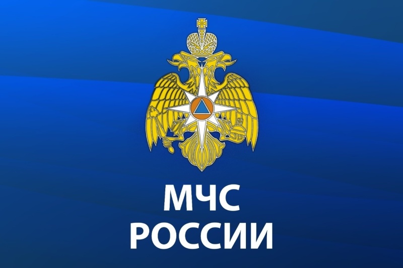 Единым именем отправителя СМС-оповещений о прогнозируемых рисках станет «RSCHS»